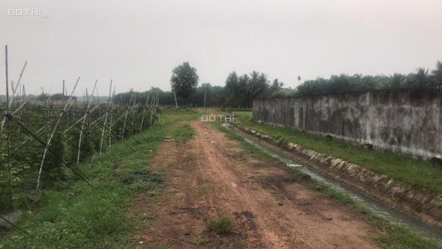Bán đất tại đường An Nhơn Tây, Xã An Nhơn Tây, Củ Chi, Hồ Chí Minh diện tích 630m2 giá 890 triệu