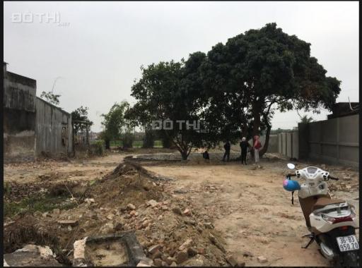 Chính chủ cần bán đất nền tại xã Quảng Thọ, TP. Sầm Sơn, Thanh Hoá, giá đầu tư