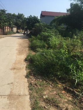 Bán đất ở trục đường chính của xã Thuỵ An, huyện Ba Vì, HN, giá tốt