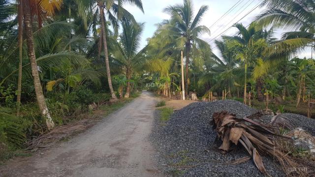 Đất Bến Tre vườn cây đẹp chăm sóc kỹ, một mặt giáp sông, đường ô tô, gần trung tâm. Rộng 17000m2