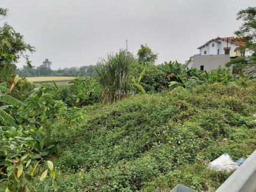 Bán đất tại đường Quốc lộ 1A, Xã Thanh Phong, Thanh Liêm, Hà Nam, diện tích 105m2, giá 780 triệu