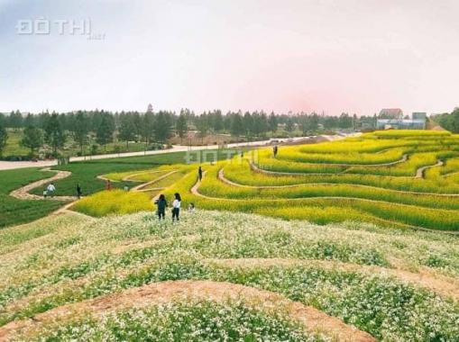 The Phoenix Garden - Sổ đỏ vĩnh viễn, tặng bông sen vàng cùng gói quà tặng tới 1 tỷ 179 triệu