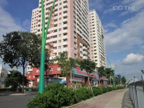 CHCC Screc Tower đường Trường Sa, Quận 3, phường 12, NTCB 2pn, 12,5 tr/th