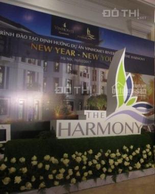 Văn phòng BĐS bán biệt thự song lập Vinhomes Harmony