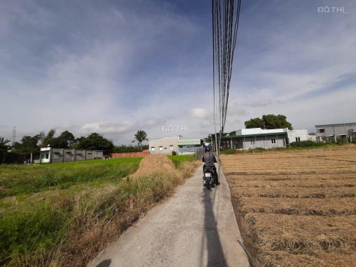Bán đất Tân Hải - BRVT - ngay tuyến tránh QL 56 sau lưng trường THCS lÊ Hồng Phong