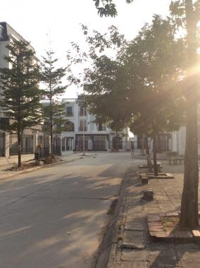 Bán lô ngoại giao TT2 khu đô thị mới Đại Kim, Nguyễn Xiển 124,5m2, giá thấp hơn thị trường