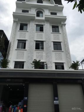 Cho thuê căn hộ mới 100% tại 56 Lê Văn Phan, P. Phú Thọ Hòa, Q. Tân Phú, TP. HCM