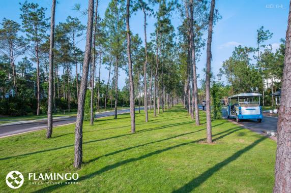 Sở hữu biệt thự Resort Flamigo Đại Lải 680m lợi nhuận thu về 2,33 tỷ / năm tương đương 28,05% /năm