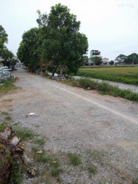 Bán đất tại Xã Quảng Phú, Thanh Hóa, Thanh Hóa, diện tích 125m2