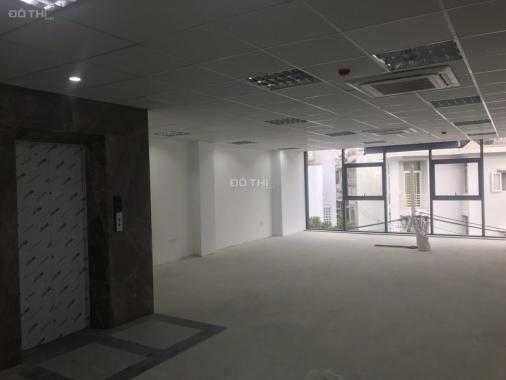 Văn phòng MT Trường Sơn, Lam Sơn, bàn giao 2 sàn 130m2 cho doanh nghiệp