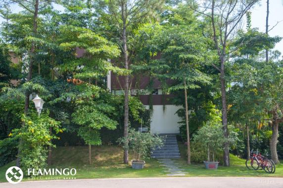 Biệt thự Flamingo Đại Lải Vĩnh Phúc căn 680m2, lợi nhuận 23.23% tương ứng 1.98 tỷ/năm