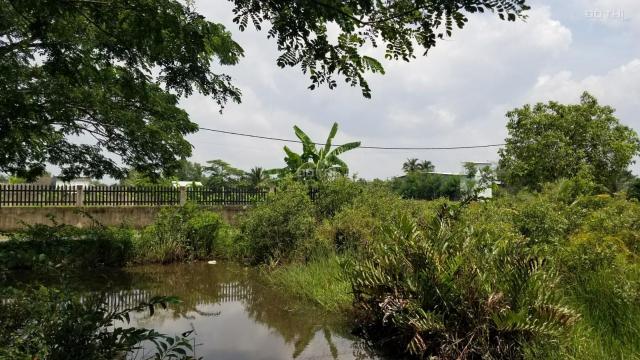 Đất ven Sông Tắc, Sông Đồng Nai, biệt thự sinh thái, đất vườn Long Phước, Quận 9