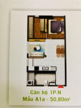 Căn hộ Calla Garden, DT 55m2, 1PN, 1WC căn góc, giá 1.56 tỷ, LH: 0902462566