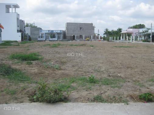 Bán 1000m2 đất vườn gần Vườn Thơm, xã Bình Lợi, Huyện Bình Chánh (gần Cầu Xáng)