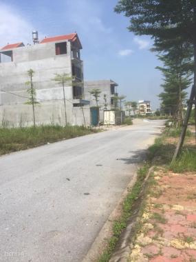 Bán gấp 5 lô đất tại KĐT V-Green City Phố Nối Hưng Yên