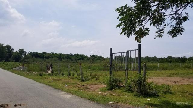 Dân ở lâu đời cần bán đất vườn Long Phước, Quận 9 1000m2, 4 tỷ, giá cực rẻ