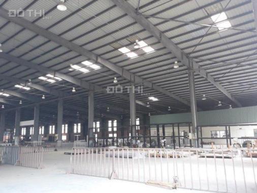 Cho thuê nhà xưởng diện tích lớn từ 500m2 - 4000m2 tại KCN An Hồng, An Dương, Hải Phòng