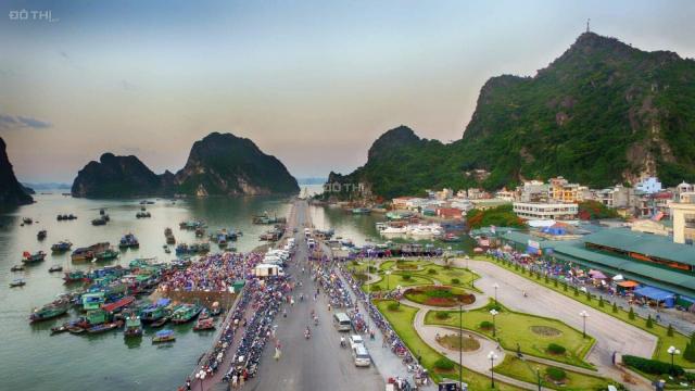 Chỉ 1,3 tỷ sở hữu được lô đất view vịnh Bái Tử Long, thuộc KĐT đẳng cấp nhất Cẩm Phả - Sentosa Bay