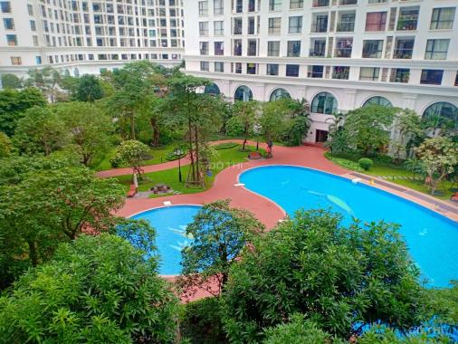Cho thuê căn hộ siêu hot 2 PN đủ đồ, ban công Đông Nam view bể bơi tại R2, giá 18 tr/th, 0965097422