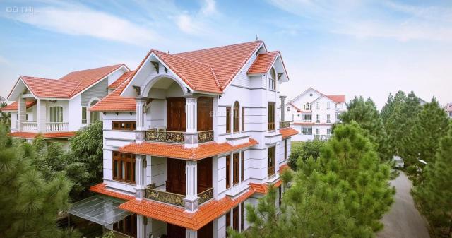 Biệt thự mặt đường Tây Thăng Long, cạnh VinHomes, tháng 12 tặng ngay 10 cây vàng. LH 094 283 3322