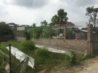 Bán đất tại đường Quốc lộ 3, xã Đông Xuân, Sóc Sơn, Hà Nội. Chính chủ