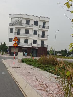 Dự án ở Thuận An, cơn sốt đất nền thật hay ảo, chỉ từ 21tr/m2, đã có sổ từng nền, sang tên ngay