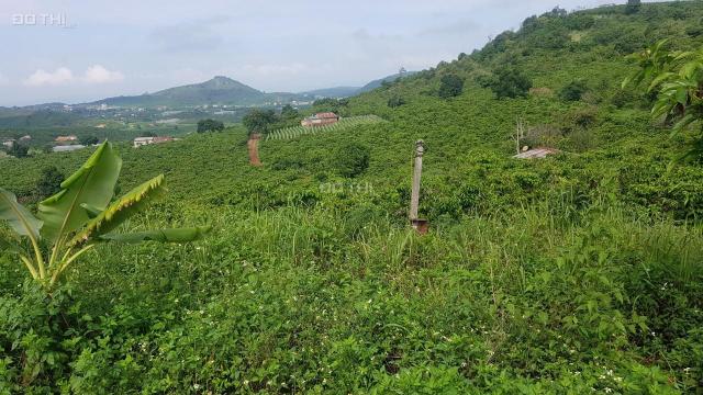 Đất chính chủ 6000m2 view đồi cực đẹp, sát UB Đông Thanh, Lâm Hà, gần Thác Voi