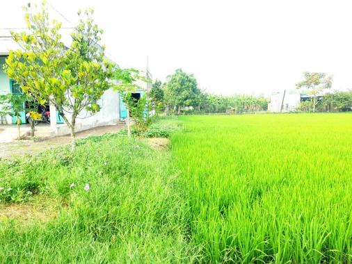 Bán đất tại đường N2, Xã Hoà Khánh Nam, Đức Hòa, Long An, diện tích 140m2, giá 550 triệu