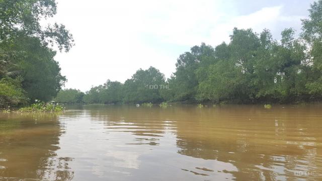Chính chủ bán 1 mẫu 7 đất MT sông làm du lịch sinh thái 800 tr/1000m2 ở H. Châu Thành, T. Bến Tre