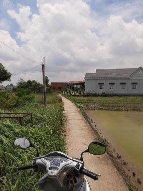 Bán đất tại đường Bờ Chùa, Xã Phước Hậu, Cần Giuộc, Long An, diện tích 450m2, giá 1.5 tỷ