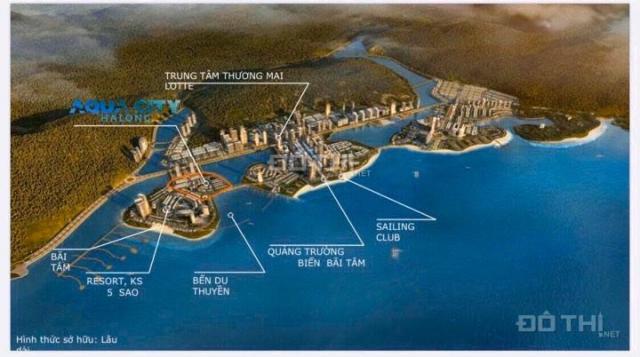 Bom tấn Aqua City Hạ Long - khách sạn mini mặt biển Hạ Long giá chỉ 6 tỷ, hỗ trợ LS 0% trong 2 năm