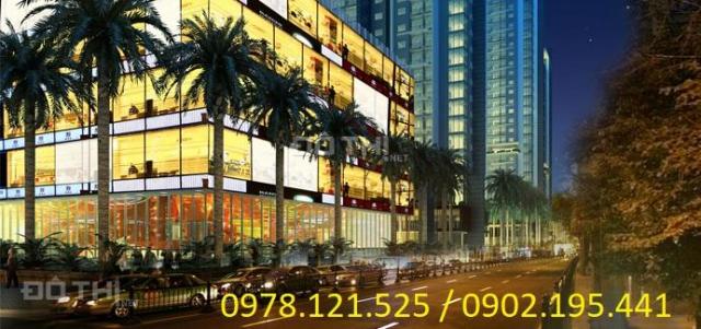 Bán gấp căn hộ tại Golden Land Hoàng Huy, bạn nào có nhu cầu thì liên hệ mình nhé