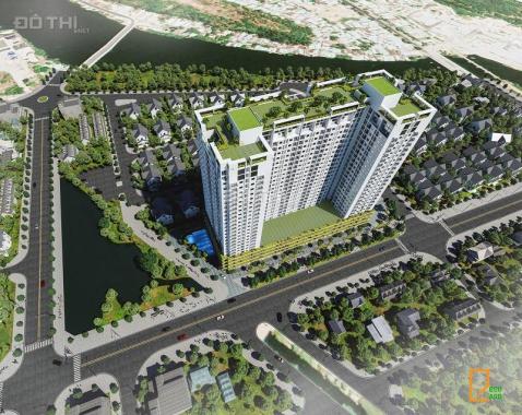 Mở bán chung cư Ecolife Riverside Quy Nhơn giá chỉ 625 triệu/căn, LH 0905.666.132