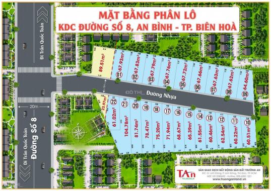 Bán đất đường Số 8, P. An Bình, TP. Biên Hòa, DT 60m2 vuông vức, đường nhựa 6m, giá đầu tư