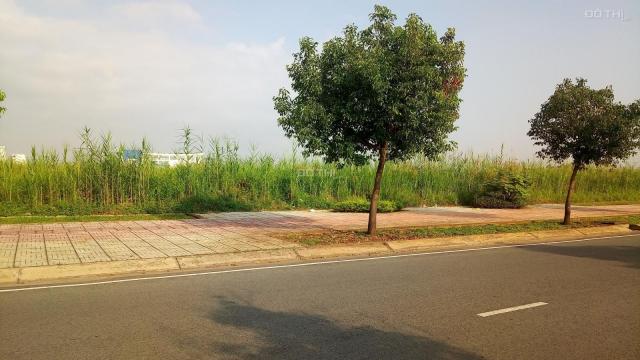 Bán đất xây biệt thự 2065m2 ngay trường Nguyễn Bỉnh Khiêm, sổ hồng, đường lớn, giá chỉ 560tr