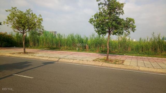 Bán đất xây biệt thự 2065m2 ngay trường Nguyễn Bỉnh Khiêm, sổ hồng, đường lớn, giá chỉ 560tr