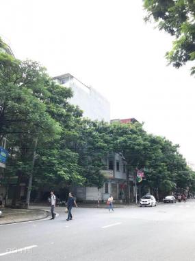 Giảm giá, bán nhà phố Nguyễn Cảnh Dị, 16 tỷ