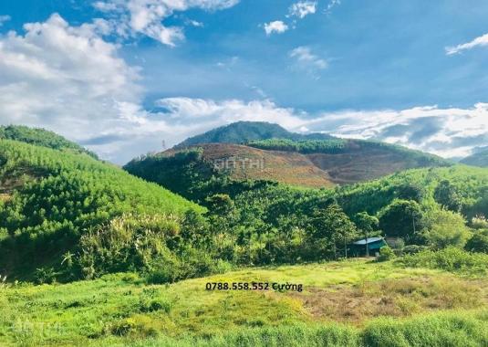 Bán 40ha gần thác YangBay làm khu du lịch sinh thái nghỉ dưỡng giá rẻ LH 0899.37.37.88