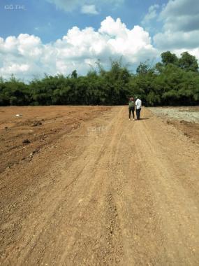 Bán đất nền dự án tại Xã Tây Hòa, Trảng Bom, Đồng Nai giá 250 triệu