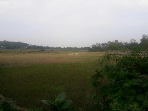Bán đất Phú Mãn, dt 431m2, mặt tiền 17m. View cánh đồng, núi, trong đất có ao, hợp nghỉ dưỡng