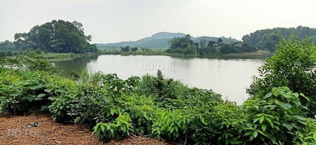 Chủ cần bán nhanh đất nghỉ dưỡng 25000m2 giáp hồ Đồng Mô cực đẹp giá rẻ