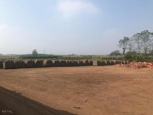 Bán nhà máy gạc tại xã Kinh Kệ, Lâm Thao, Phú Thọ 5,6 ha, dây chuyền, nhân công có sẵn