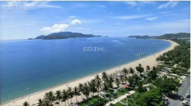 Cần tiền bán lỗ căn chung cư 1118 OC2A; 1126, 628, 1422 OC2B Viễn Triều Nha Trang, 0976435169