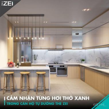 Ngắm pháo hoa đêm giao thừa ngay tại căn hộ của mình - chung cư The Zei, siêu ưu đãi cuối năm