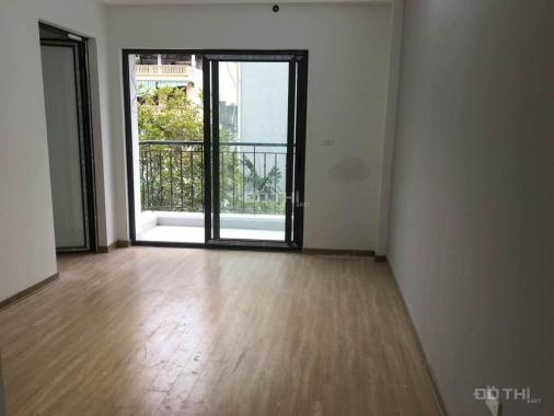 Cho thuê căn hộ chung cư cao cấp tại phố Lê Trọng Tấn, Trường Chinh, DT 40m2, 1PK, 1PN
