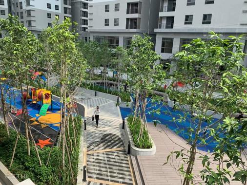 Cho thuê căn hộ cao cấp Saigon South Residences Phú Mỹ Hưng 11tr/tháng. LH: 0946 894 828