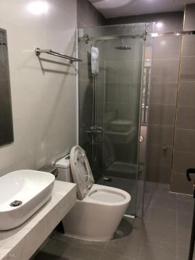 Nhà mặt ngõ Lãng Yên - chân cầu Trần Khát Chân, 35m2 x 5T mới cực đẹp, có sân, giá 3,3 tỷ