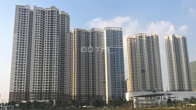 Cho thuê hơn 30 căn hộ D'Capitale Trần Duy Hưng dịch vụ Vinhomes đẳng cấp