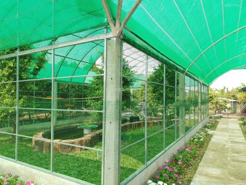 Khu sinh thái 1.6ha giá 16 tỷ gần trung tâm Hậu Nghĩa