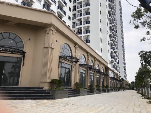 Bán căn hộ chung cư Ruby City 3 Phúc Lợi, Long Biên, Hà Nội. Diện tích 45 - 70m2, giá 20 triệu/m2